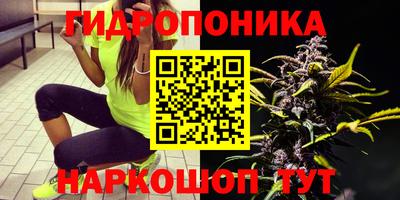 дистиллят марихуана Гусев