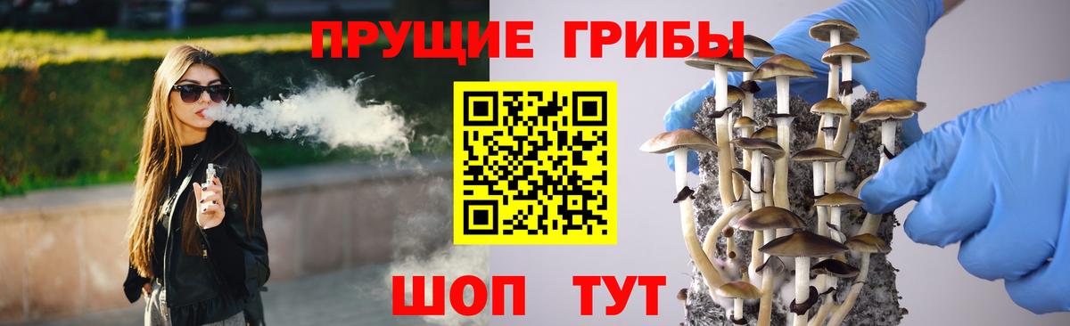 Галлюциногенные грибы мицелий  Вход с VPN  Назарово  Псилоцибиновые грибы Psilocybe 